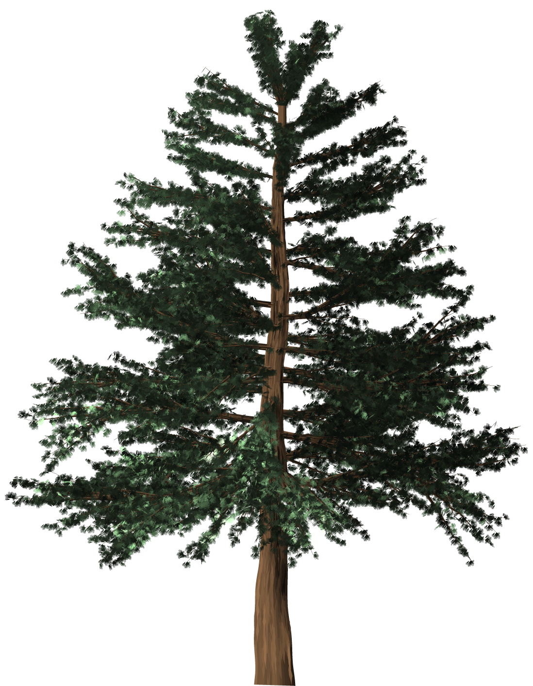 A computer generated pitch pine.