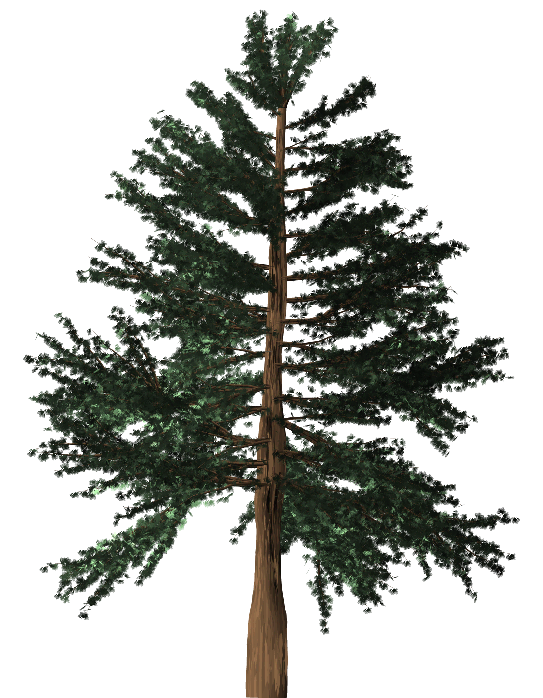A computer generated pitch pine.